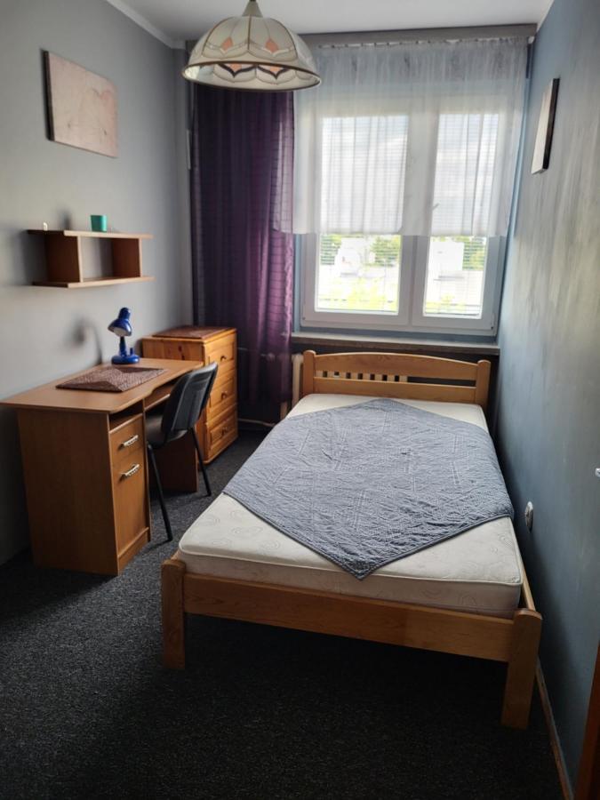 Apartament Sosnowy Z Parkingiem Torun Exterior photo